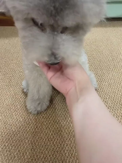 Rubber LED Jumping Dog And Cat Ball Toy