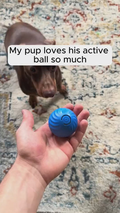 Rubber LED Jumping Dog And Cat Ball Toy