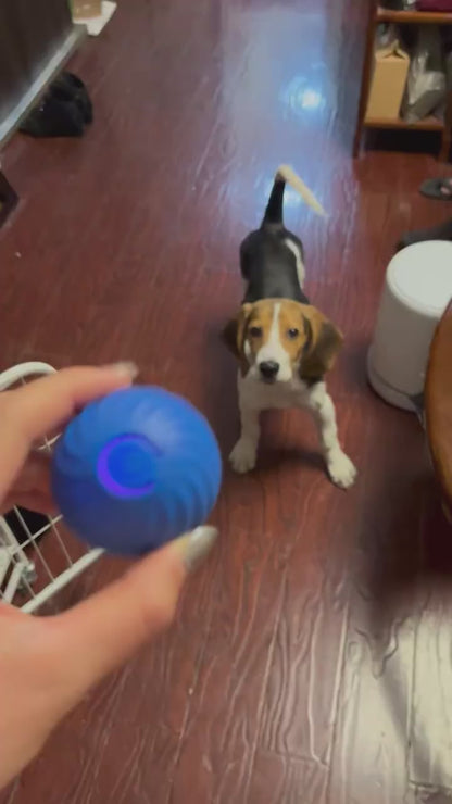 Rubber LED Jumping Dog And Cat Ball Toy