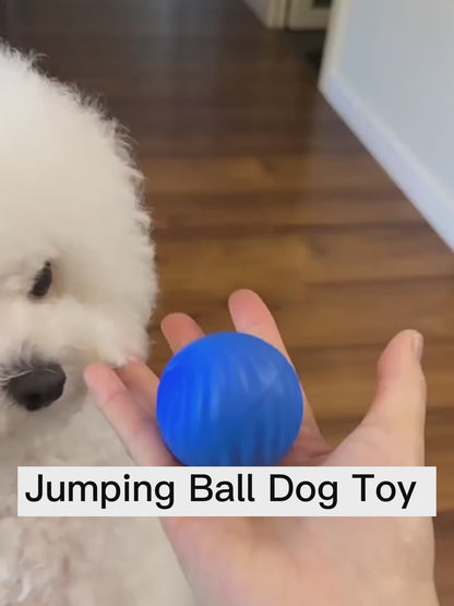 Rubber LED Jumping Dog And Cat Ball Toy